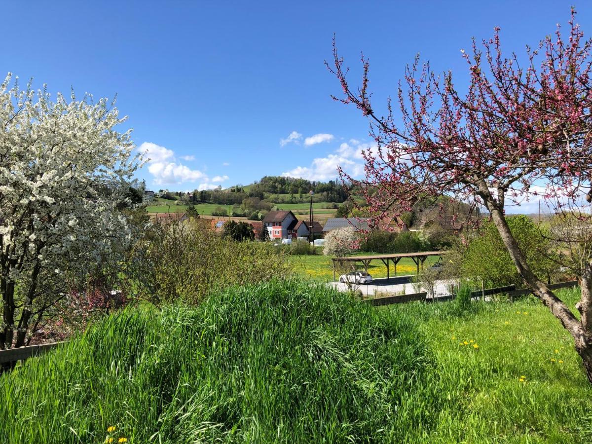 Ferienwohnungen und Appartements im idyllischen Vierkanthof Fürstenfeld Exterior foto